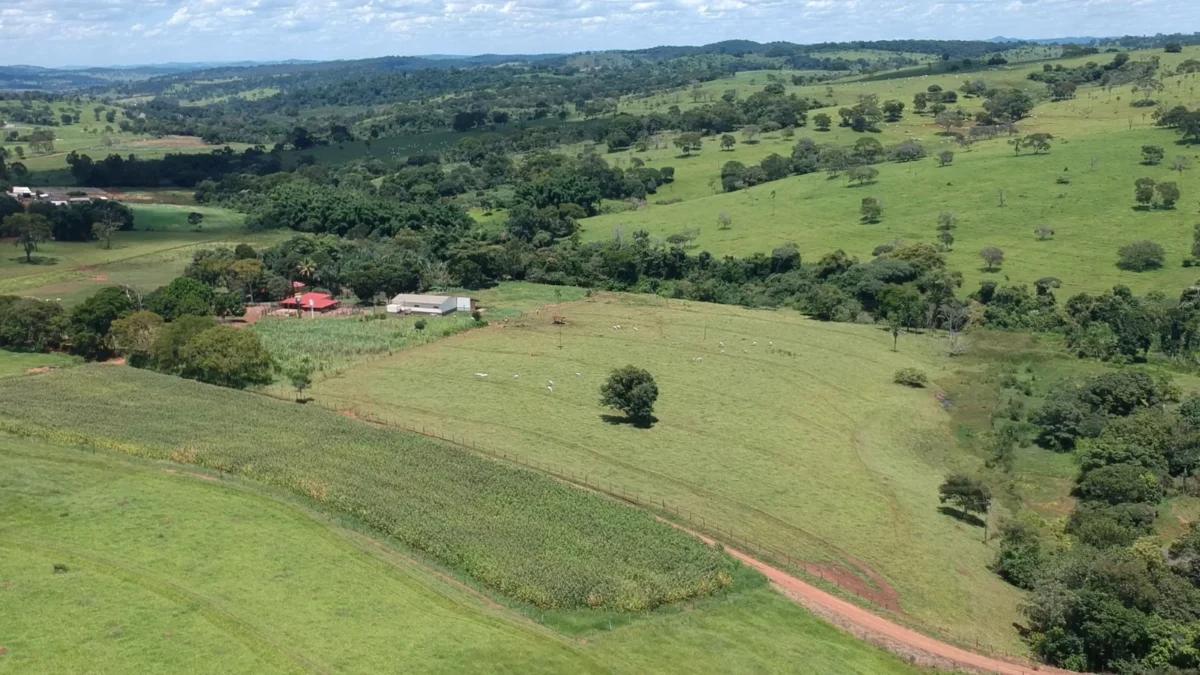 Fachada do Fazenda à Venda em Ouro Verde